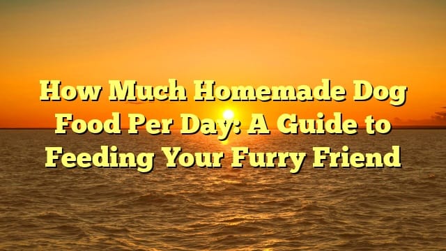 How Much Homemade Dog Food Per Day: A Guide to Feeding Your Furry Friend